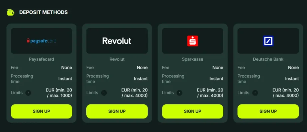 BetNjet deposit methods for Paysafecard, Revolut, and German banks with instant processing time.